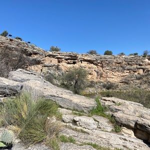 Meet your Posher, Bryant